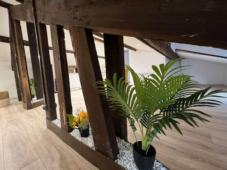 Kiss Cool - Loft En Centre Ville Сен Дизие Екстериор снимка